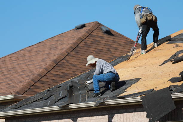Best Skylight Installation and Repair  in Hlsboro, IL